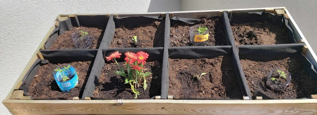 Mise en beauté du potager